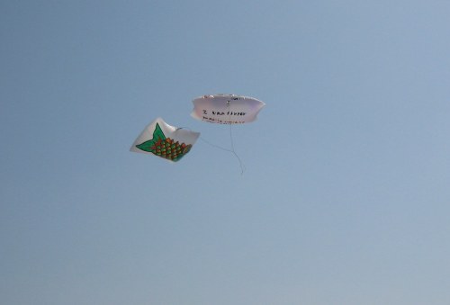 Carp balloons in flight